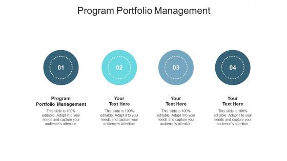 Program portfolio management ppt powerpoint presentation model guidelines cpb