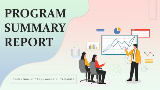Program Summary Report Powerpoint Ppt Template Bundles