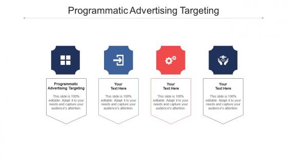 Programmatic advertising targeting ppt powerpoint presentation slides graphics download cpb