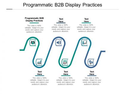 Programmatic b2b display practices ppt powerpoint presentation visual aids background images cpb