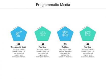 Programmatic media ppt powerpoint presentation styles guide cpb