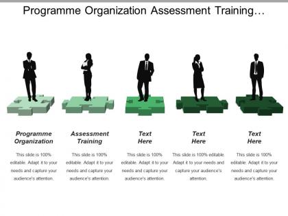Programme organization assessment training programme evaluation information system