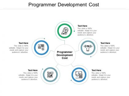 Programmer development cost ppt powerpoint presentation icon inspiration cpb