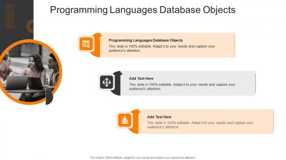 Programming Languages Database Objects In Powerpoint And Google Slides Cpb