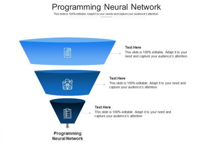 Programming neural network ppt powerpoint presentation pictures icon cpb