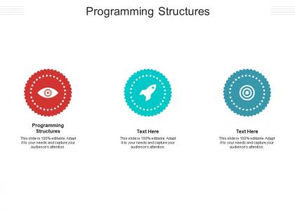 Programming structures ppt powerpoint presentation pictures inspiration cpb