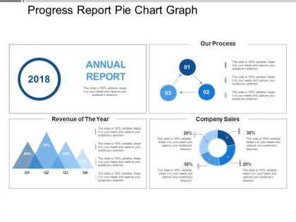 Progress report pie chart graph