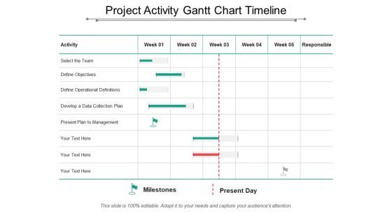 Project activity gantt chart timeline