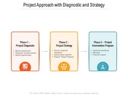 Project approach with diagnostic and strategy