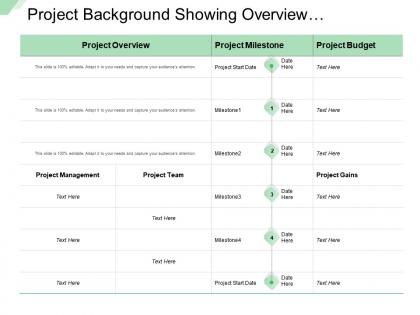 Project background showing overview management team budget gains