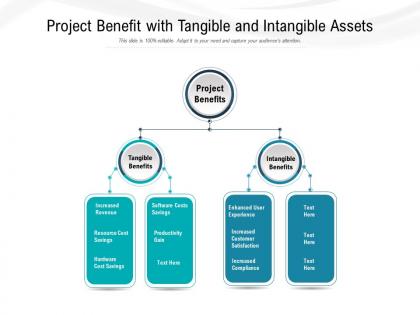 Project benefit with tangible and intangible assets