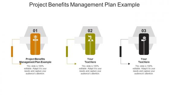 Project benefits management plan example ppt powerpoint presentation visual aids cpb