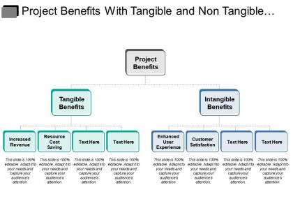 Project benefits with tangible and non tangible benefits