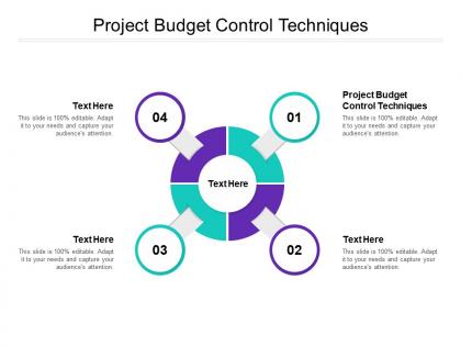 Project budget control techniques ppt powerpoint presentation graphics cpb