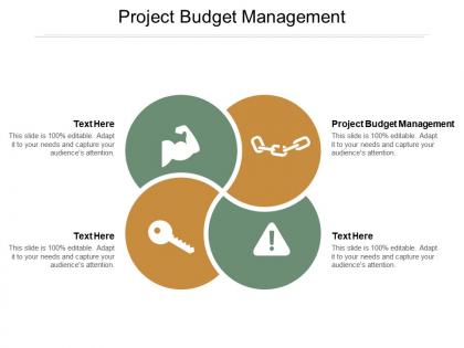 Project budget management ppt powerpoint presentation visual aids gallery cpb