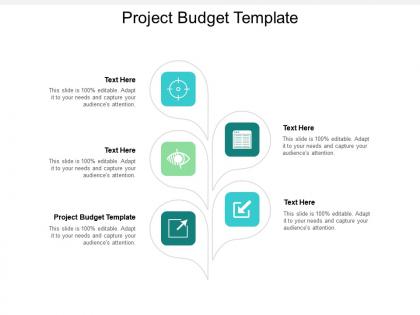 Project budget template ppt powerpoint presentation summary guide cpb