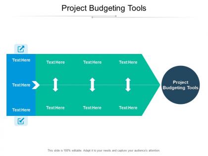Project budgeting tools ppt powerpoint presentation gallery icons cpb
