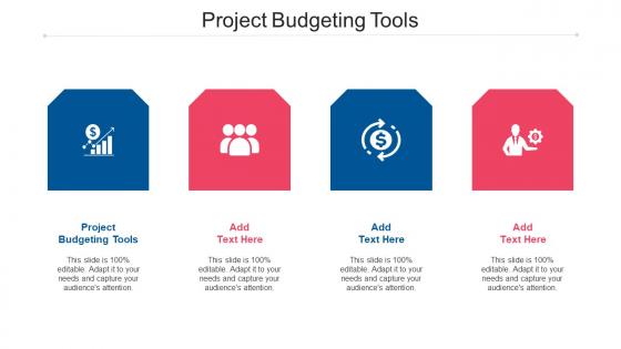 Project Budgeting Tools Ppt Powerpoint Presentation Model Professional Cpb