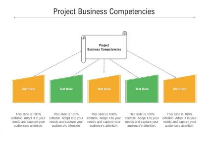 Project business competencies ppt powerpoint presentation professional display cpb