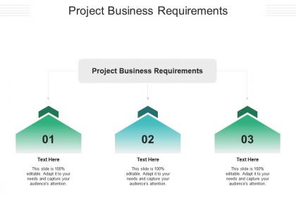 Project business requirements ppt powerpoint presentation model slideshow cpb