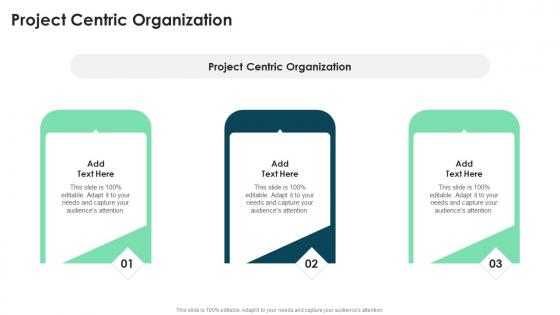 Project Centric Organization In Powerpoint And Google Slides Cpb