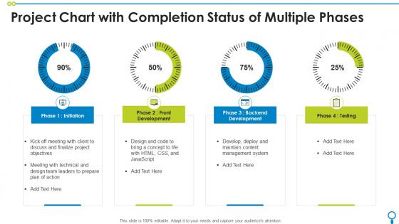 Project Chart With Completion Status Of Multiple Phases