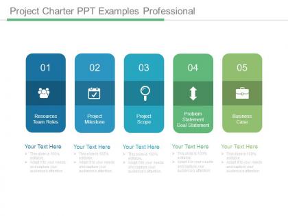 Project charter ppt examples professional