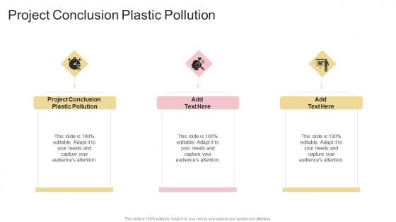 Project Conclusion Plastic Pollution In Powerpoint And Google Slides Cpb