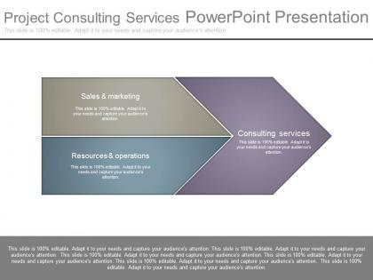 Project consulting services powerpoint presentation