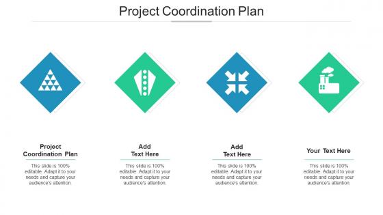 Project Coordination Plan Ppt PowerPoint Presentation Portfolio Background Designs Cpb