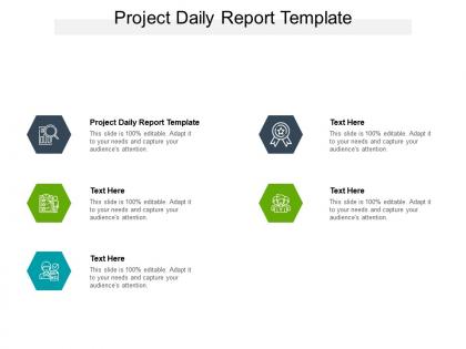 Project daily report template ppt powerpoint presentation infographics information cpb