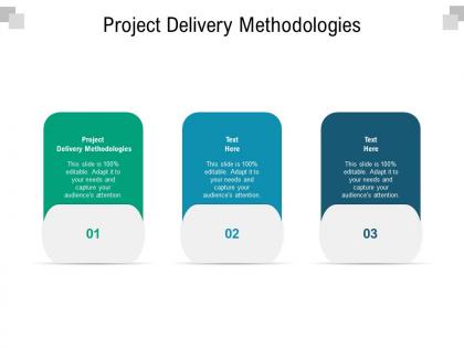 Project delivery methodologies ppt powerpoint presentation portfolio layout cpb