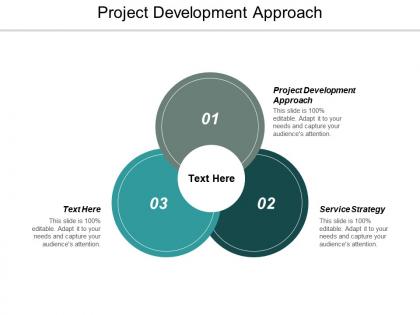 Project development approach ppt powerpoint presentation outline demonstration cpb