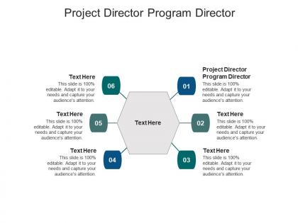 Project director program director ppt powerpoint presentation infographics graphics design cpb