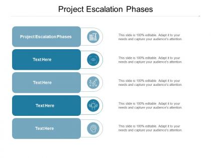 Project escalation phases ppt powerpoint presentation portfolio graphic images cpb