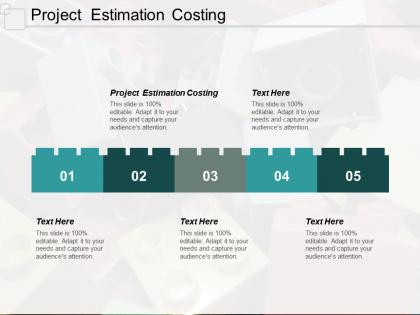 Project estimation costing ppt powerpoint presentation inspiration diagrams cpb