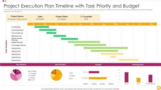 Project Execution Plan Timeline With Task Priority And Budget