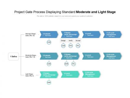Project gate process displaying standard moderate and light