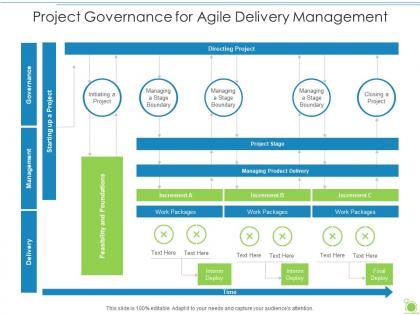 Project governance for agile delivery management