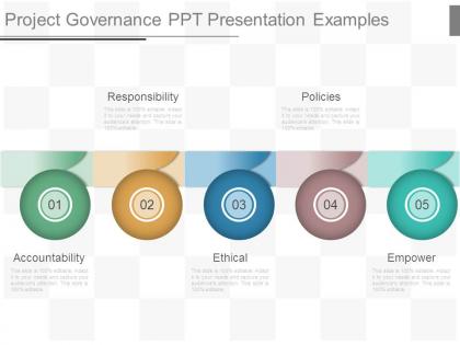 Project governance ppt presentation examples