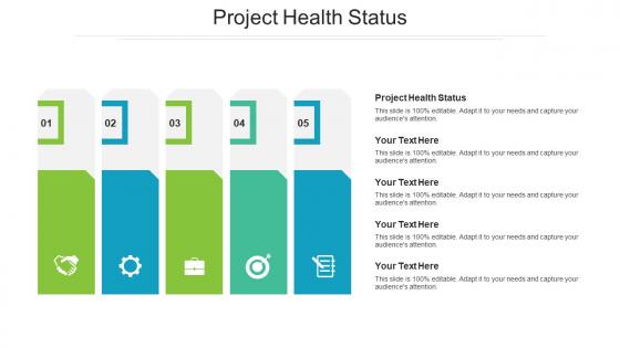 Project Health Status Ppt Powerpoint Presentation Ideas Cpb