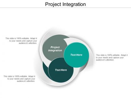 Project integration ppt powerpoint presentation layouts gridlines cpb