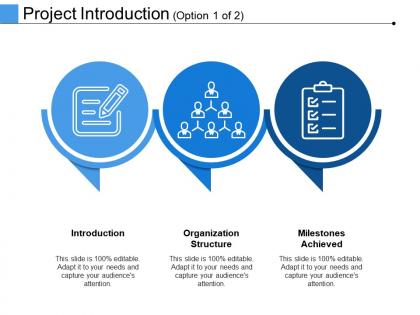 Project introduction ppt infographic template information