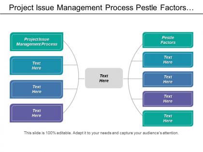 Project issue management process pestle factors pest analysis cpb