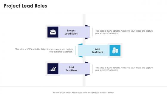 Project Lead Roles In Powerpoint And Google Slides Cpb