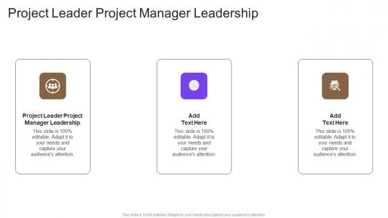 Project Leader Project Manager Leadership In Powerpoint And Google Slides Cpb