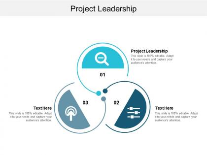 Project leadership ppt powerpoint presentation icon design ideas cpb
