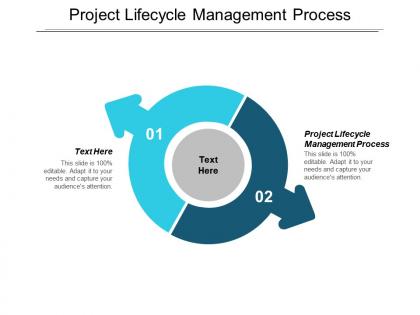 Project lifecycle management process ppt powerpoint presentation show demonstration cpb