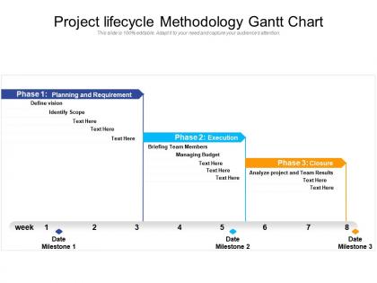 Project lifecycle methodology gantt chart