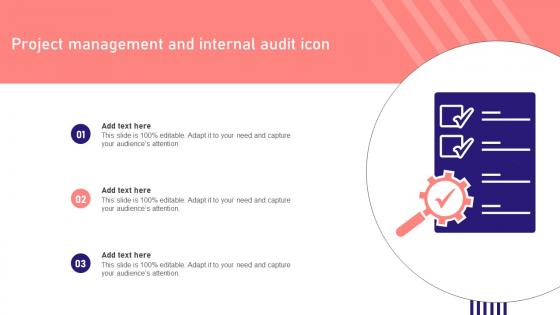 Project Management And Internal Audit Icon